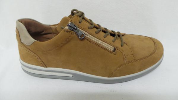 Waldläufer 623-004-364-050